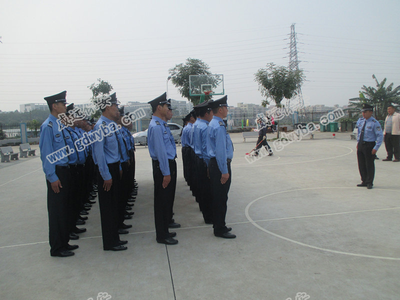 深圳小區(qū)物業(yè)保安公司新聞：植物園內(nèi)發(fā)現(xiàn)國(guó)家一級(jí)保護(hù)動(dòng)物倭蜂猴